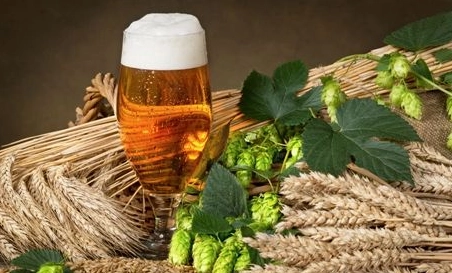 精釀啤酒中，如何選擇恰當的浸麥方法？